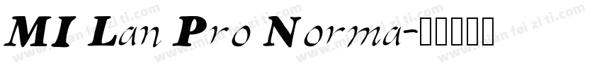 MI Lan Pro Norma字体转换